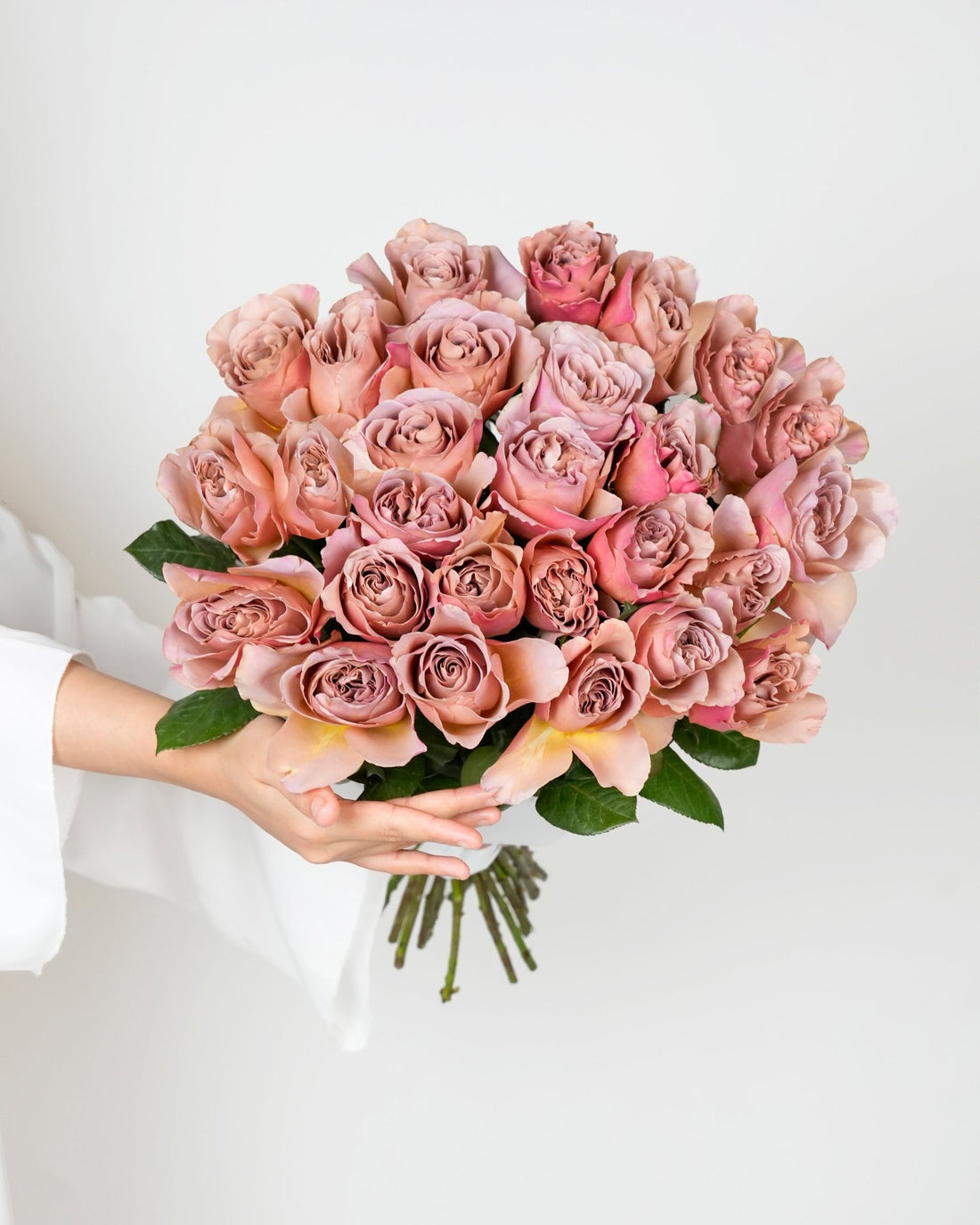 Rose Cafe Latte - 10 Stems - Laflora.ae