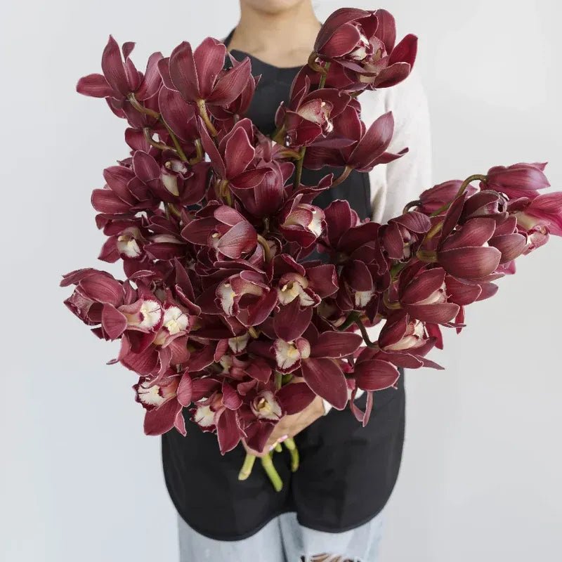 Cymbidium Orchids - Merlot Pink (1 Stem) - Laflora.ae