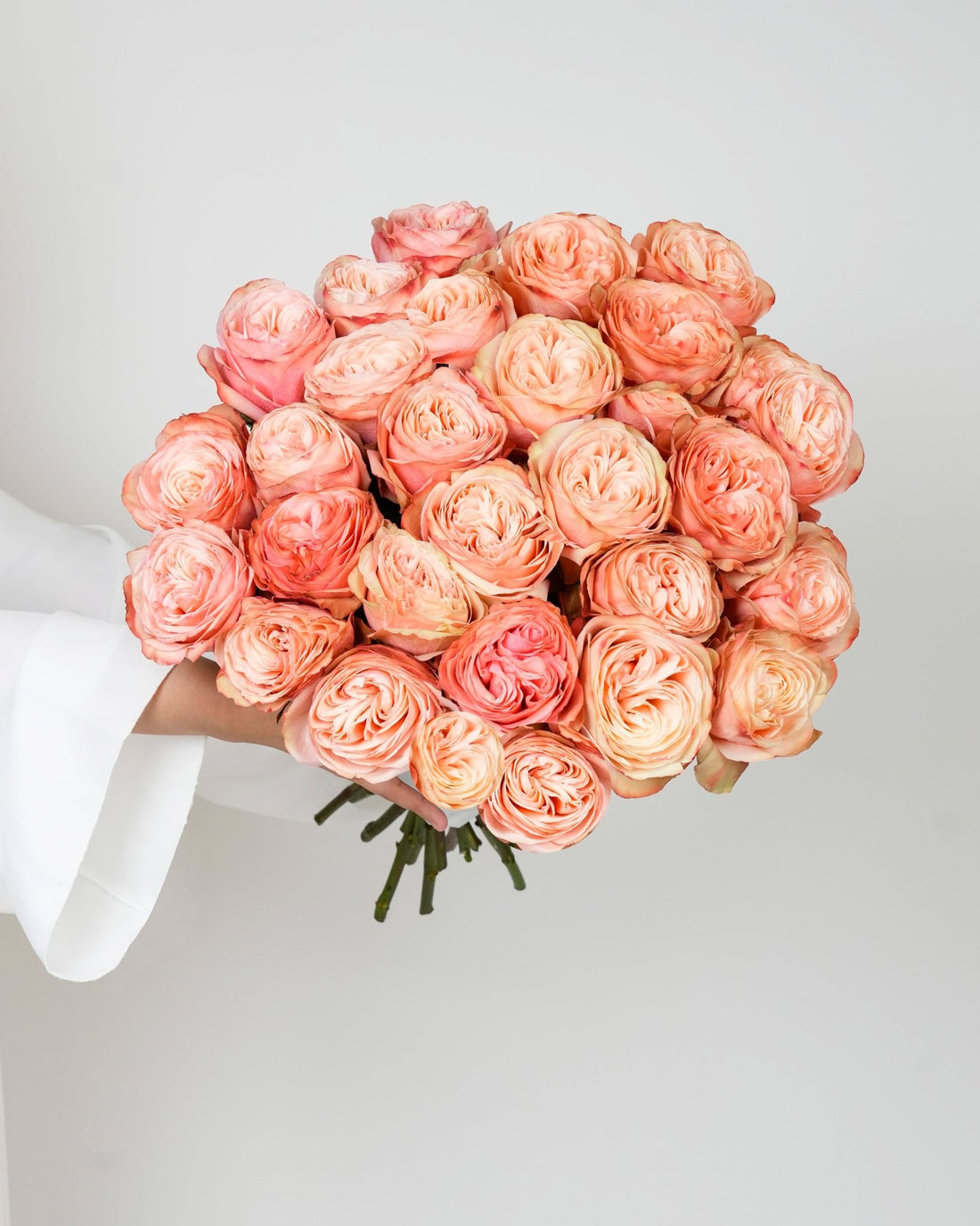 Rose Uhuru Kahala - 25 Stems - Laflora.ae