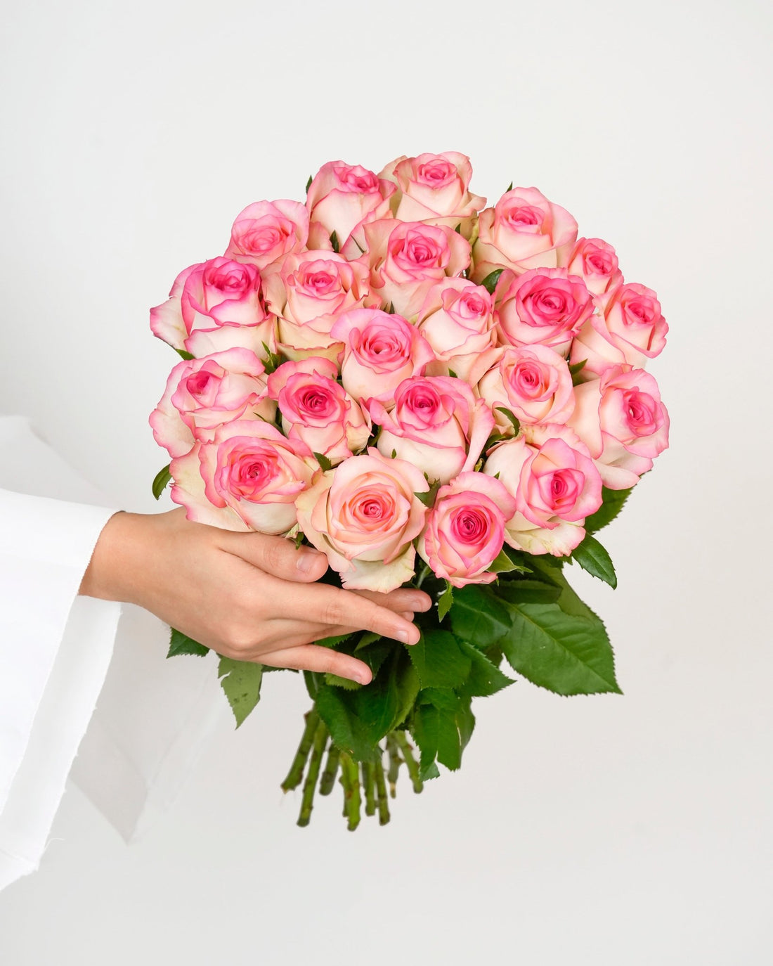 Pink & White Rose - Paloma - Laflora.ae
