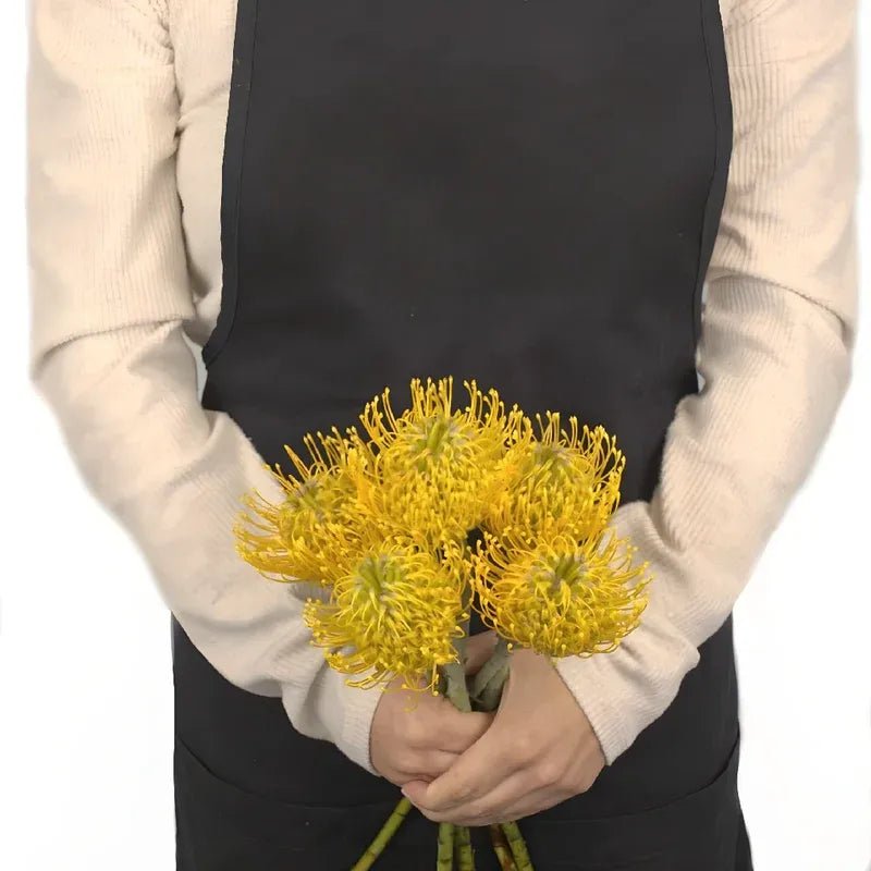 Protea - Lemon Twist Pin Cushion (5 Stems) - Laflora.ae