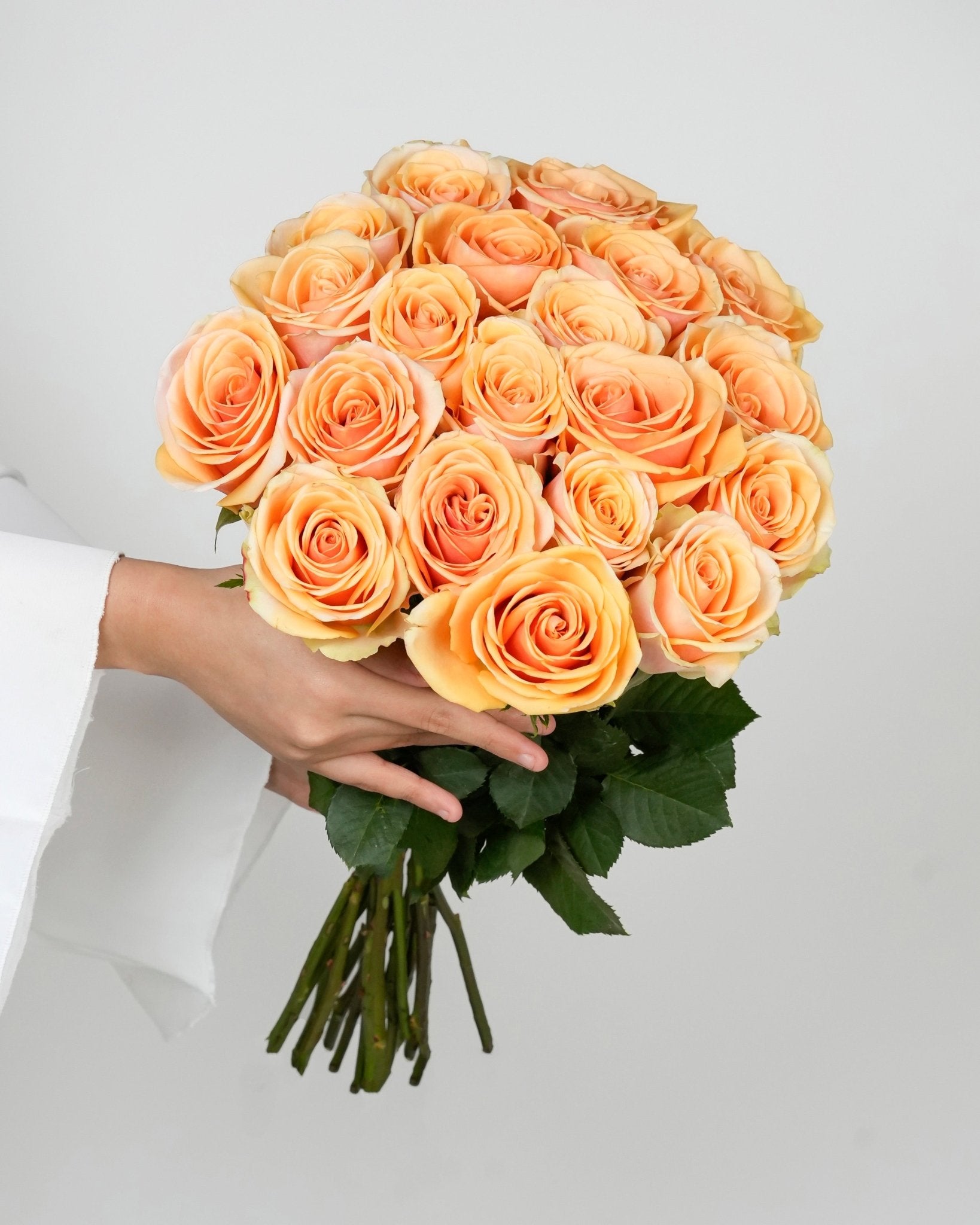Rose - Peach Alchemy (10 Stems) - Laflora.ae