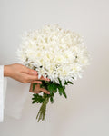 Chrysanthemum - Spray White - Laflora.ae