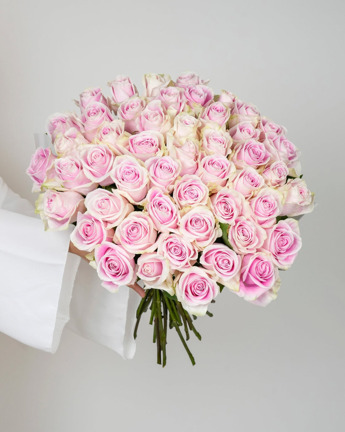 Blush Pink Roses - Premium - Laflora.ae