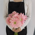 Gerbera - Light Pink (5 Stems) - Laflora.ae