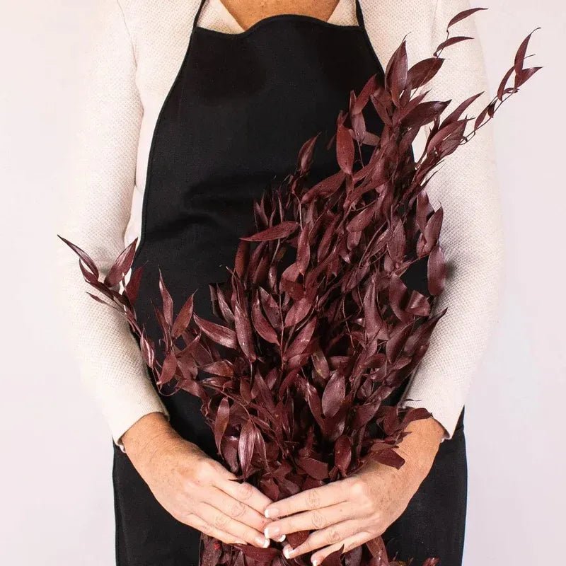 Ruscus - Burgundy Dried (Bunch) - Laflora.ae