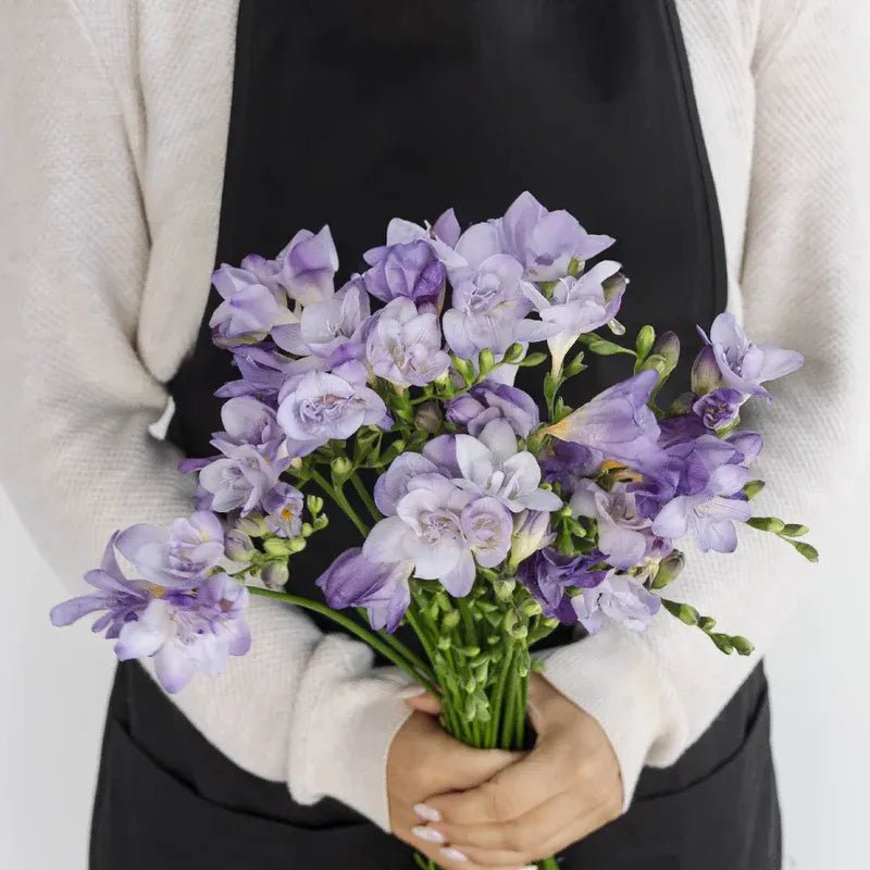 Lavender Freesia - (10 Stems) - Laflora.ae