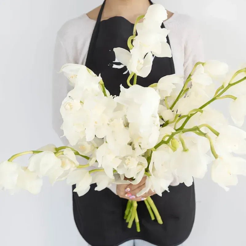 Cymbidium Orchids - White and Yellow (1 Stem) - Laflora.ae