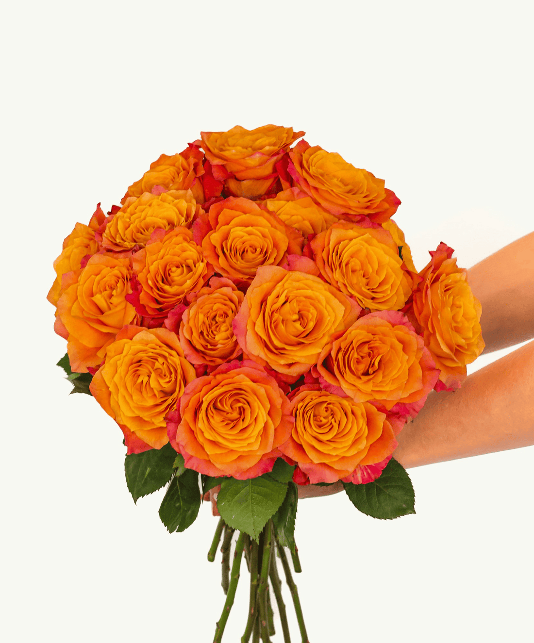 Free Spirit Rose - Premium - Laflora.ae