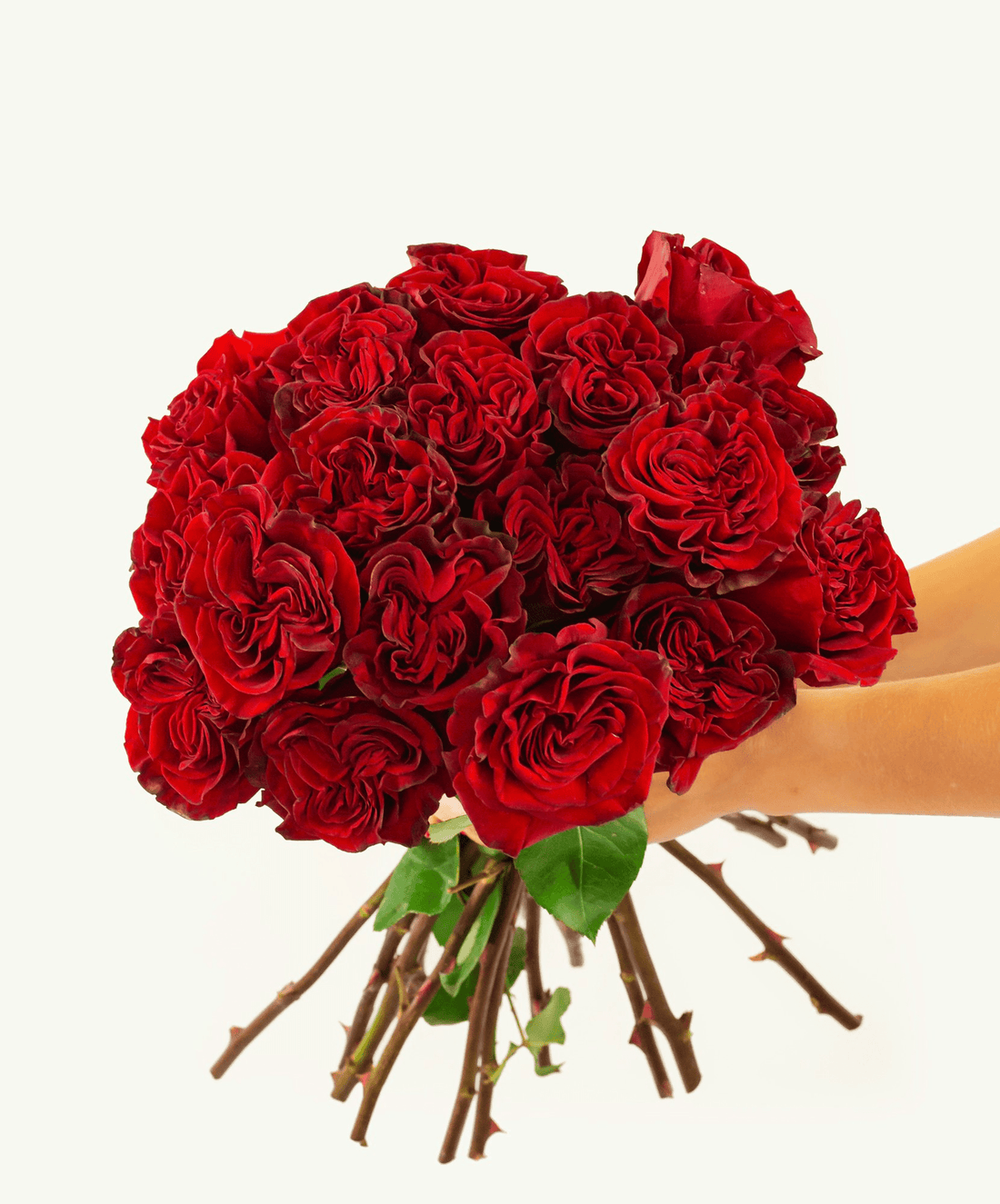 Rose Red Heart - Premium - Laflora.ae