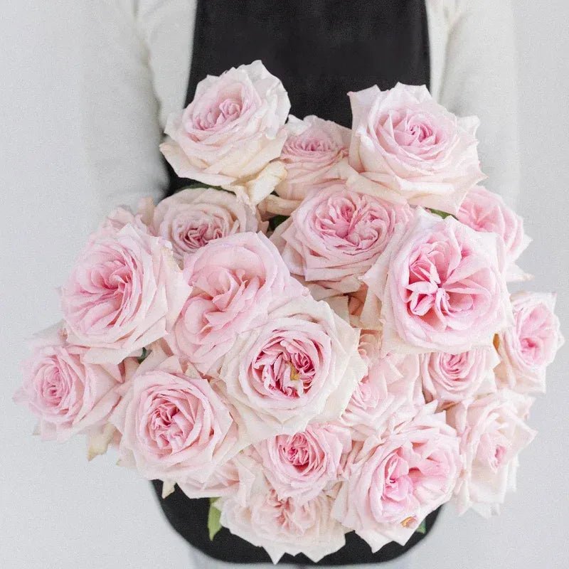 Garden Rose - Soft Pink Ohara Garden - Laflora.ae