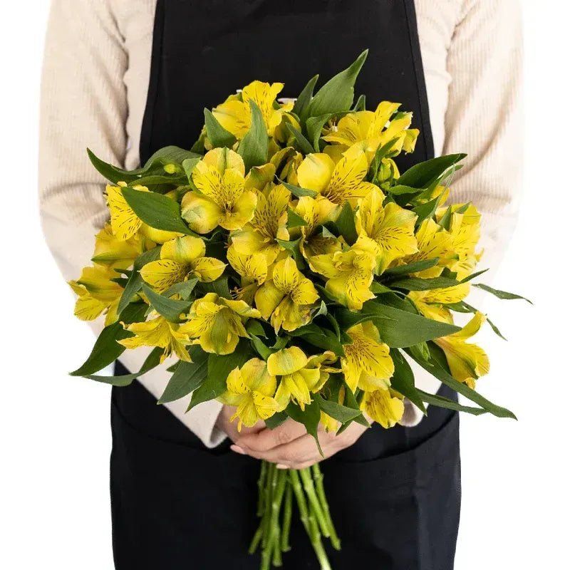 Yellow Alstroemeria (Bunch) - Laflora.ae