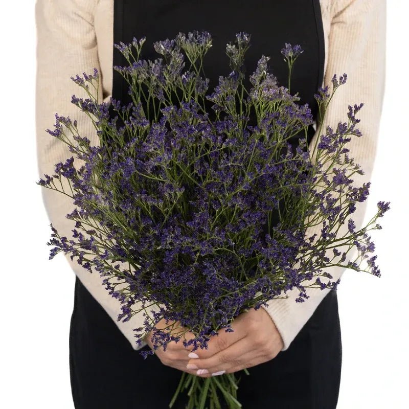 Limonium - Purple (10 Stems) - Laflora.ae