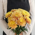 Chrysanthemum - Pumpkin (10 Stems) - Laflora.ae