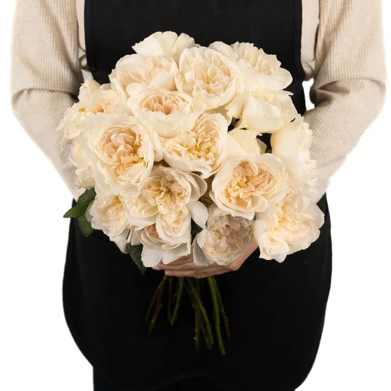 Garden Rose - David Austin Purity Ausoblige (12 Stems) - Laflora.ae