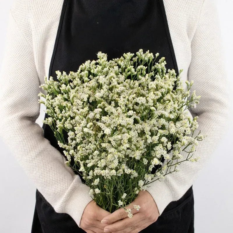 Limonium - White (25 Stems) - Laflora.ae