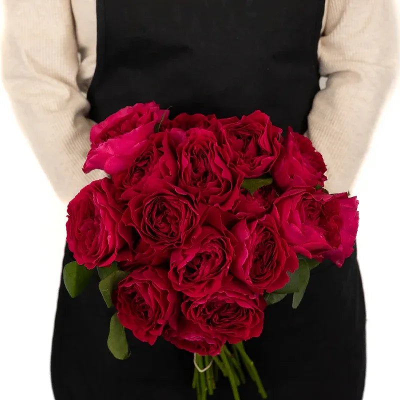 Garden Rose - Darcey Rubine Red David Austin (12 Stems) - Laflora.ae