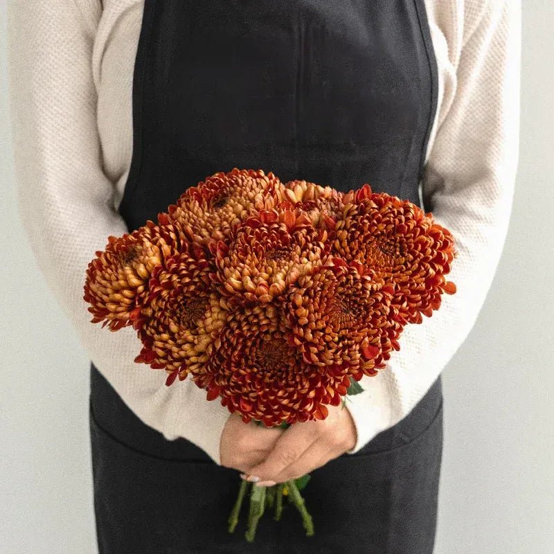 Chrysanthemum - Bronze Mum (10 Stems) - Laflora.ae