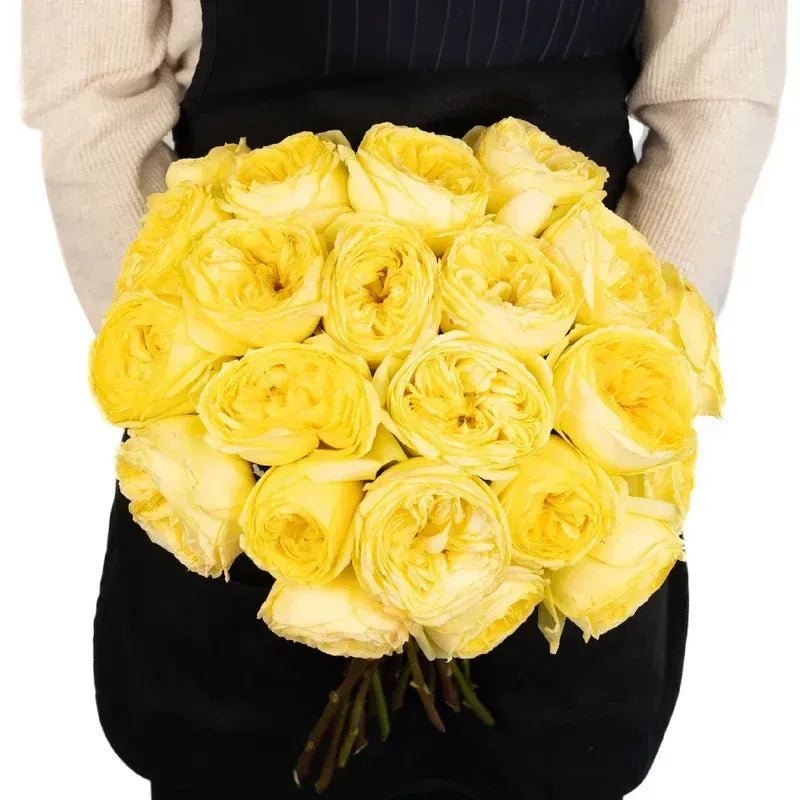 Garden Rose - Catalina Beach - Laflora.ae