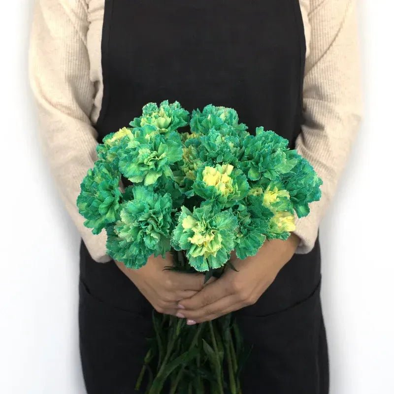 Carnation - Tinted Green (25 Stems) - Laflora.ae