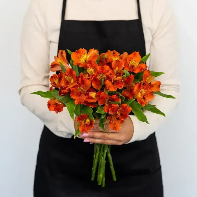 Savanna Orange Alstroemeria (Bunch) - Laflora.ae