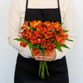 Savanna Orange Alstroemeria (Bunch) - Laflora.ae