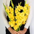 Gladiolus - Yellow (10 Stems) - Laflora.ae
