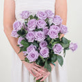 Lavender Rose - Premium - Laflora.ae