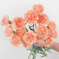 Carnation - Peach Wonder (20 Stems) - Laflora.ae