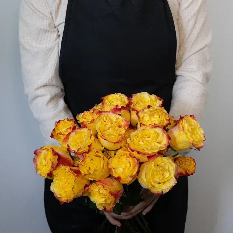 Garden Rose - Burning Love (10 Stems) - Laflora.ae