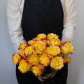 Garden Rose - Burning Love (10 Stems) - Laflora.ae