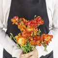 Flaming Red Freesia (10 Stems) - Laflora.ae