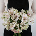 Ivory White Alstroemeria (Bunch) - Laflora.ae