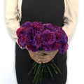 Carnation - Purple Magenta (20Stems) - Laflora.ae