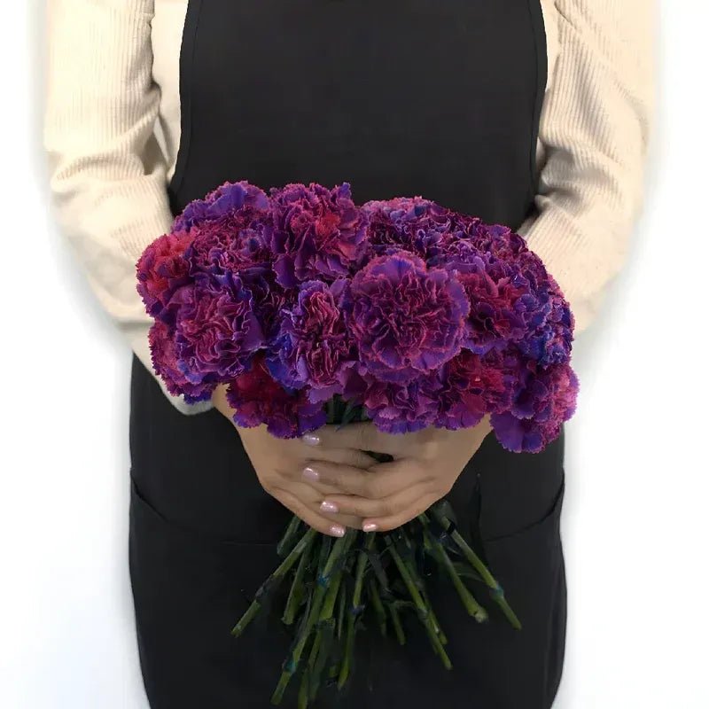 Carnation - Purple Magenta (20Stems) - Laflora.ae