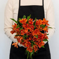 Orange Alstroemeria (Bunch) - Laflora.ae