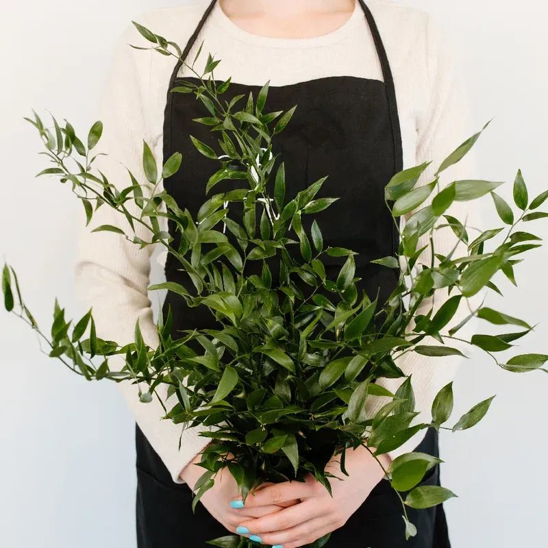 Ruscus - Italian (2 Bunch) - Laflora.ae