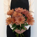 Chrysanthemum - Tierra (10 Stems) - Laflora.ae