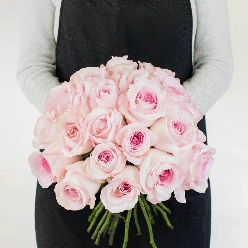 Rose - Soft Pink (20 Stems) - Laflora.ae