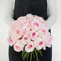 Rose - Soft Pink (20 Stems) - Laflora.ae