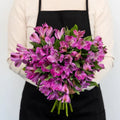 Purple Alstroemeria (Bunch) - Laflora.ae