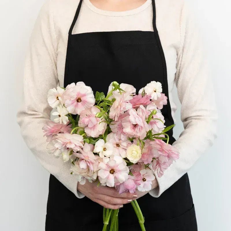 Ranunculus - Blushing Bride Butterfly (10 Stems) - Laflora.ae