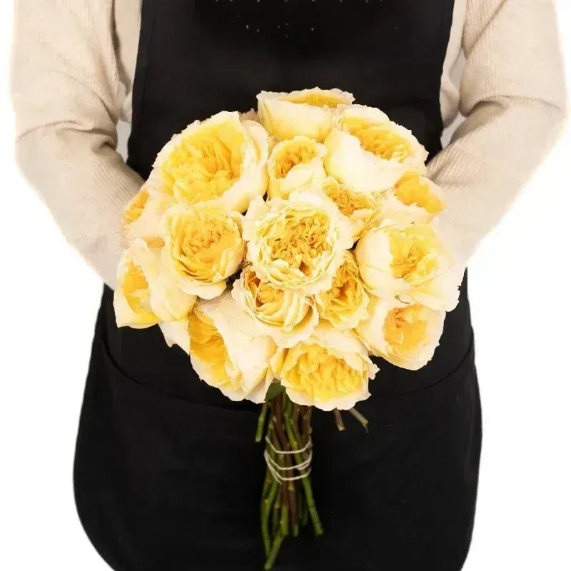 Garden Rose - David Austin Effie (12 Stems) - Laflora.ae