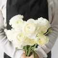 Ranunculus - Champagne (10 Stems) - Laflora.ae