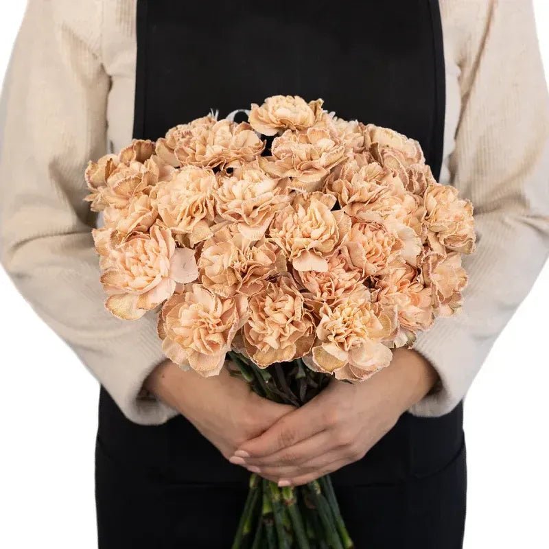 Carnation - Cappuccino (20 Stems) - Laflora.ae