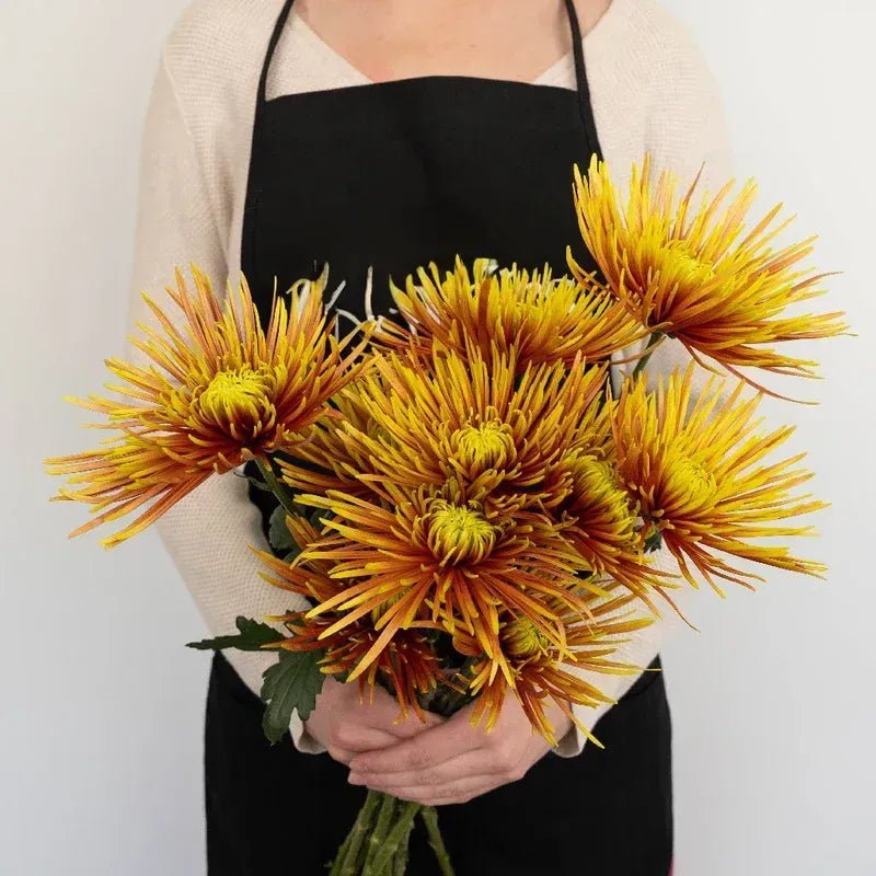 Chrysanthemum - Saffina (14 Stems) - Laflora.ae
