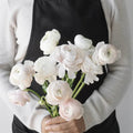 Ranunculus - Blush Italian Cloony (10 Stems) - Laflora.ae