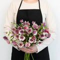 Ranunculus - Silver Magenta Butterfly (10 Stems) - Laflora.ae