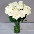 Rose - Mondial White (20 Stems) - Laflora.ae