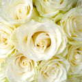 Rose - Mondial White (20 Stems) - Laflora.ae